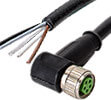MurrElektronik 5-pole M8 Cables