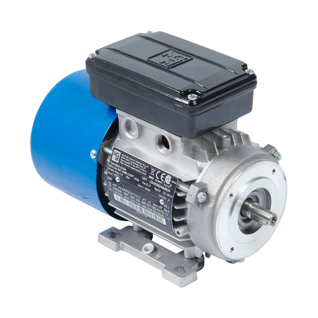 IE2 High Efficiency AC Motor: general purpose, inverter rated and brake ...