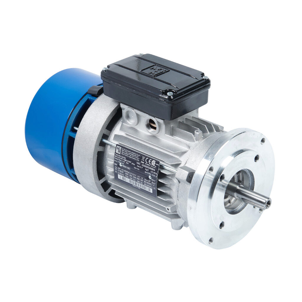 IE3 Premium Efficiency AC Motor: general purpose, inverter rated and ...