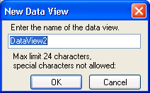 Data View