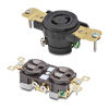 Electrical Receptacles