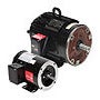 Leeson High-Performance Inverter Duty with Integral Encoder