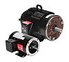 Leeson High-Performance Inverter Duty with Integral Encoder