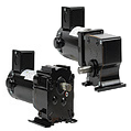 Permanent Magnet DC Gearmotors