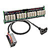 DirectLogic 305 PLC ZIPLinks