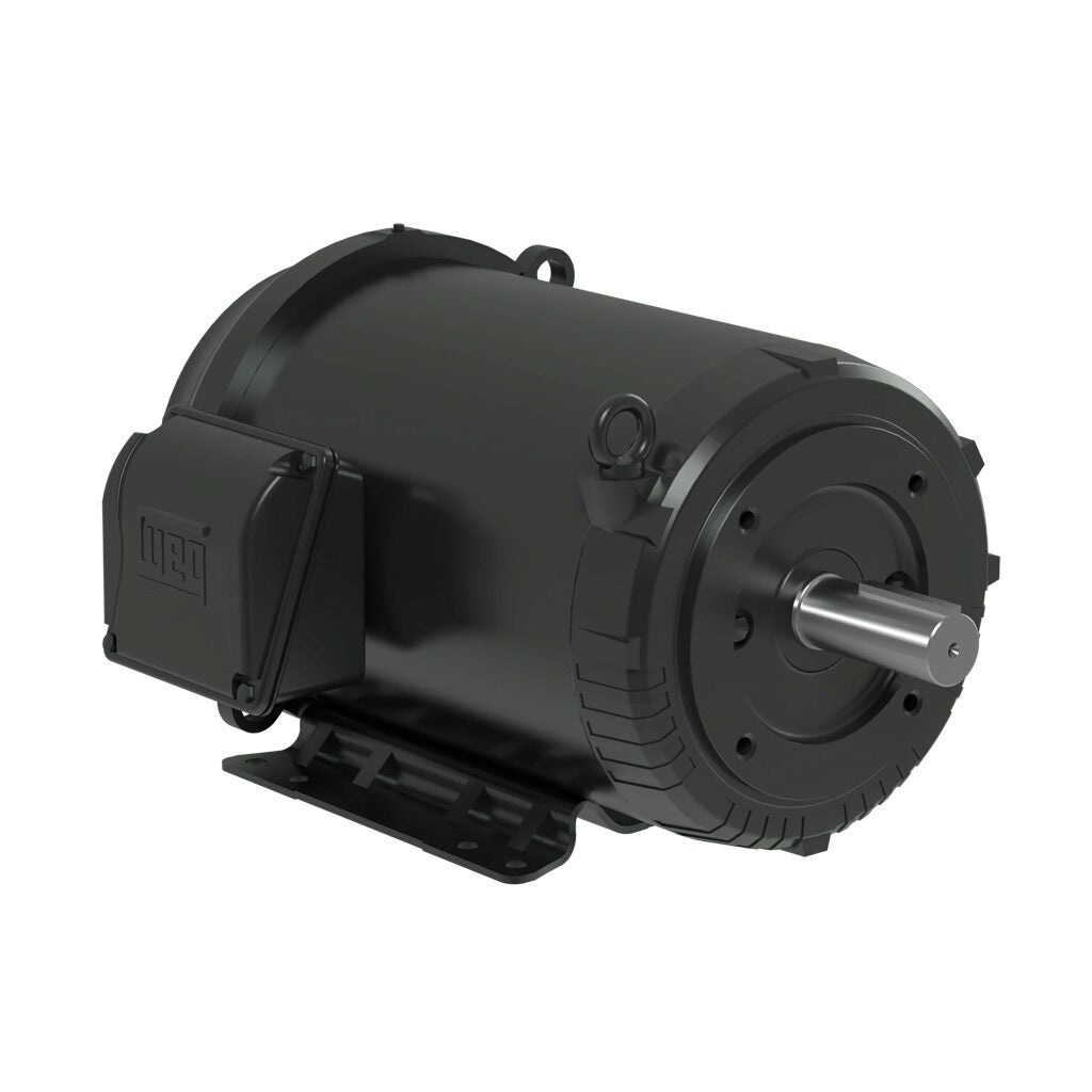 Premium Efficiency AC Motor: general purpose and inverter rated