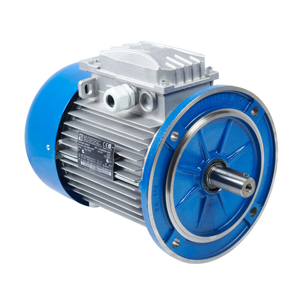 IE3 Premium Efficiency AC Motor: general purpose and inverter