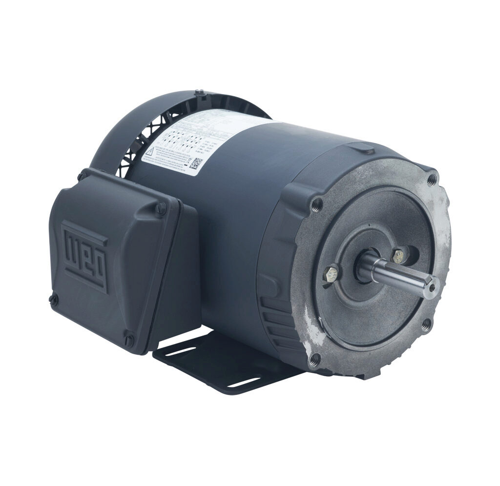 Standard Efficiency AC Motor: general purpose and inverter rated