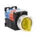 AR22PL-611L3YZA Thumbnail