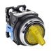 AR30PL-010E3YZC Thumbnail
