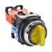 AR30PL-311E3YZC Thumbnail