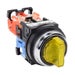 AR30PL-611E3YZC Thumbnail