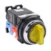 AR30PL-611L3YZC Thumbnail