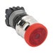AR30VPL-01EAR Thumbnail