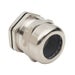BSBCX-07 Thumbnail