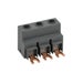 HPX1-PTB-MP Thumbnail