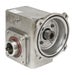 WGSS-206-015-HA Thumbnail