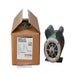 Whats in the box
