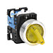 AR22PL-010E3YZA Thumbnail