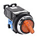 AR30PL-010L3AZC Thumbnail