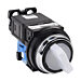 AR30PL-010L3WZC Thumbnail