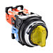 AR30PL-311E3YZC Thumbnail