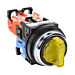 AR30PL-611E3YZC Thumbnail