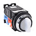 AR30PL-611L3WZC Thumbnail