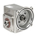 WGSS-175-005-HA Thumbnail