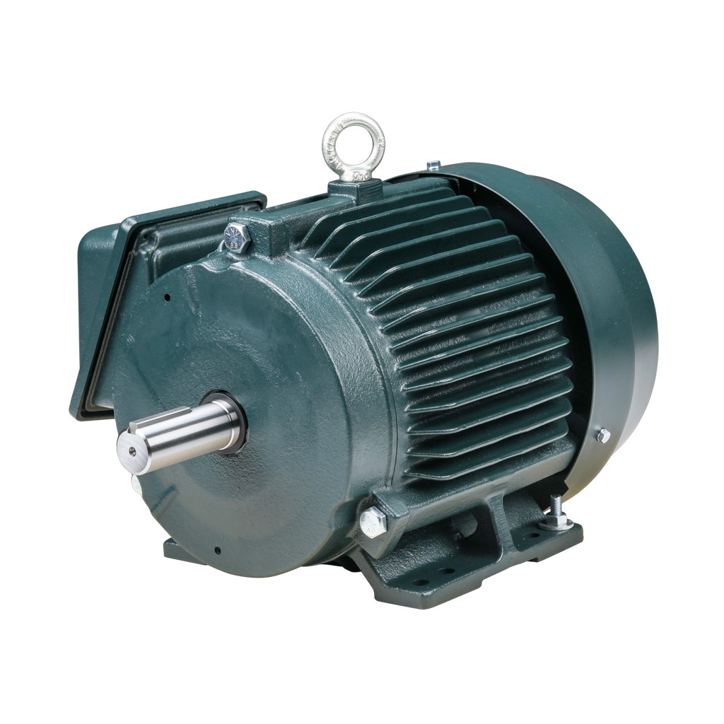Premium Efficiency AC Motor: high-performance inverter duty and