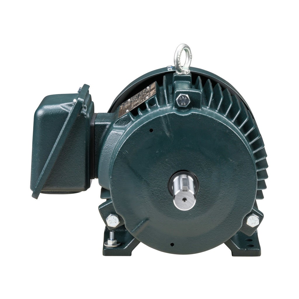 Premium Efficiency AC Motor: high-performance inverter duty and