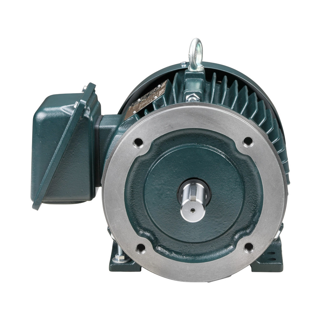 Premium Efficiency AC Motor: high-performance inverter duty and