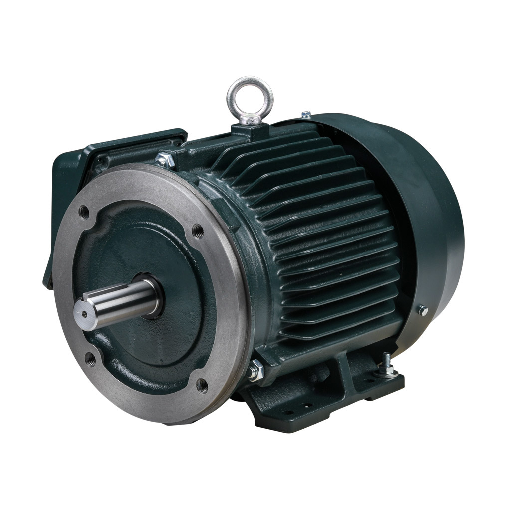 Premium Efficiency AC Motor: high-performance inverter duty and