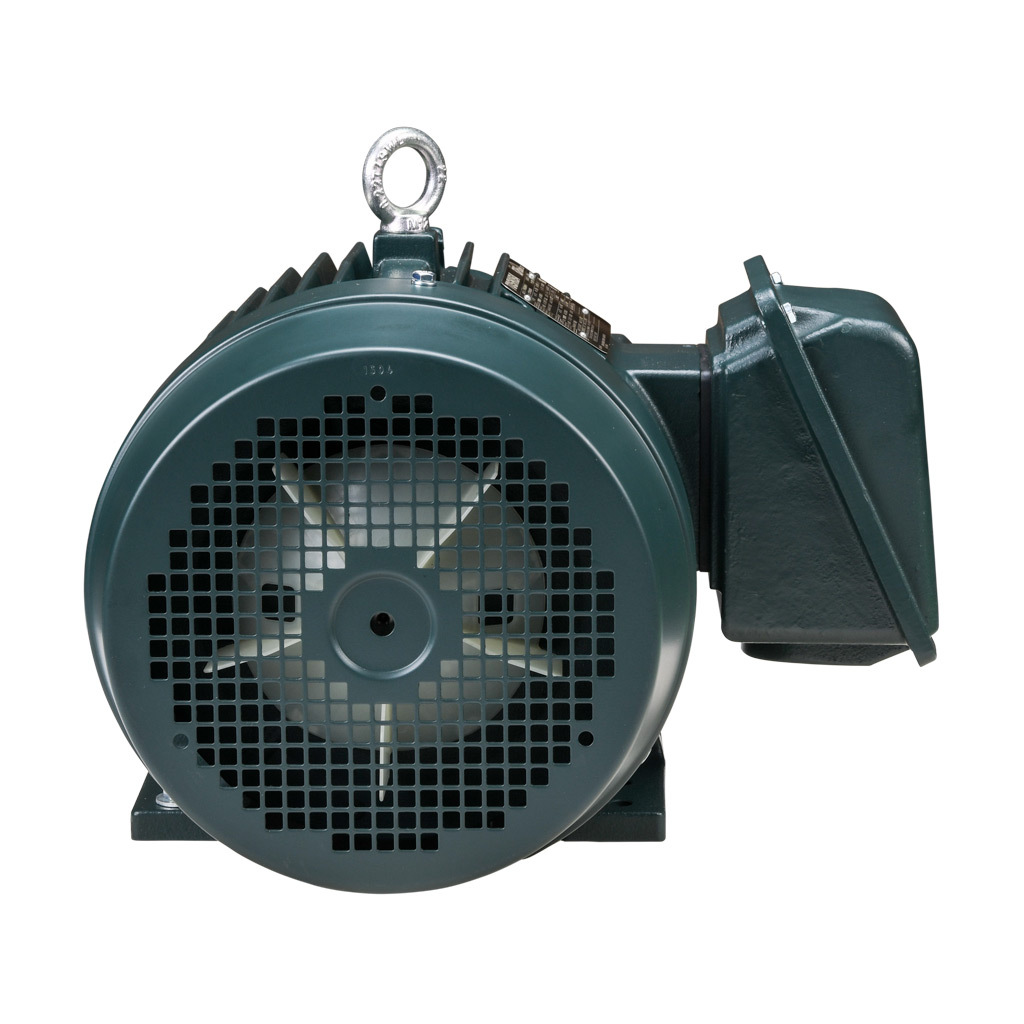 Premium Efficiency AC Motor: high-performance inverter duty and
