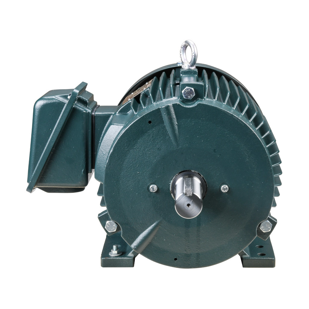 Premium Efficiency AC Motor: high-performance inverter duty and
