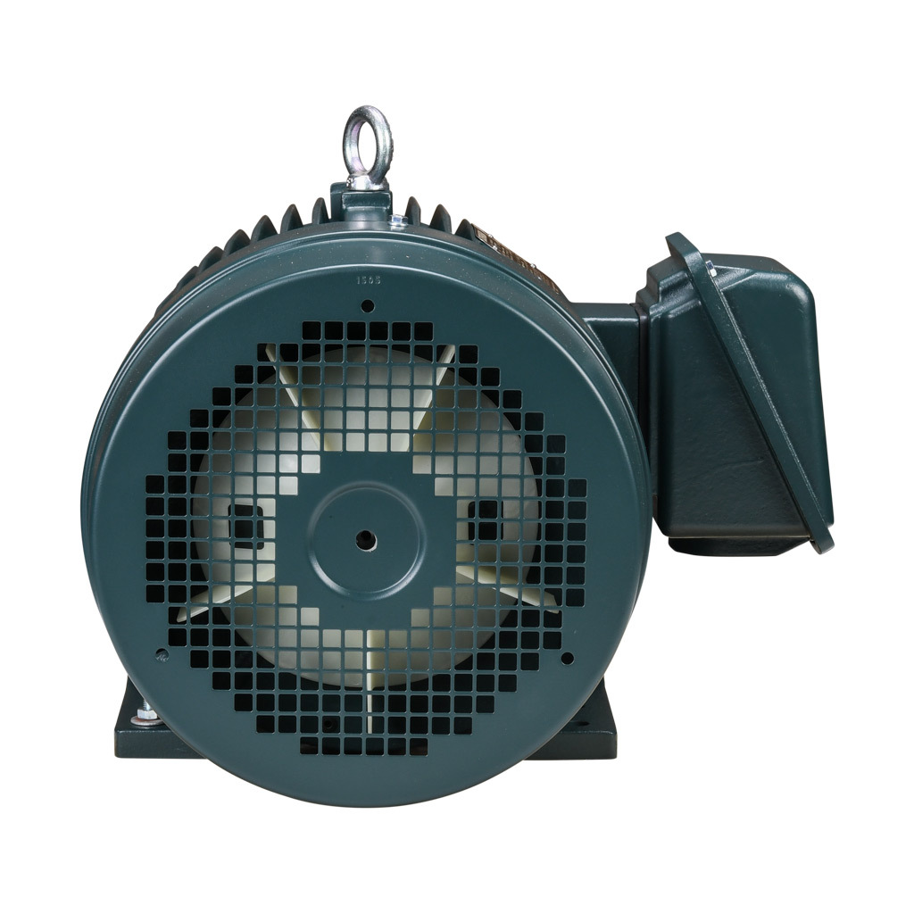 Premium Efficiency AC Motor: high-performance inverter duty and