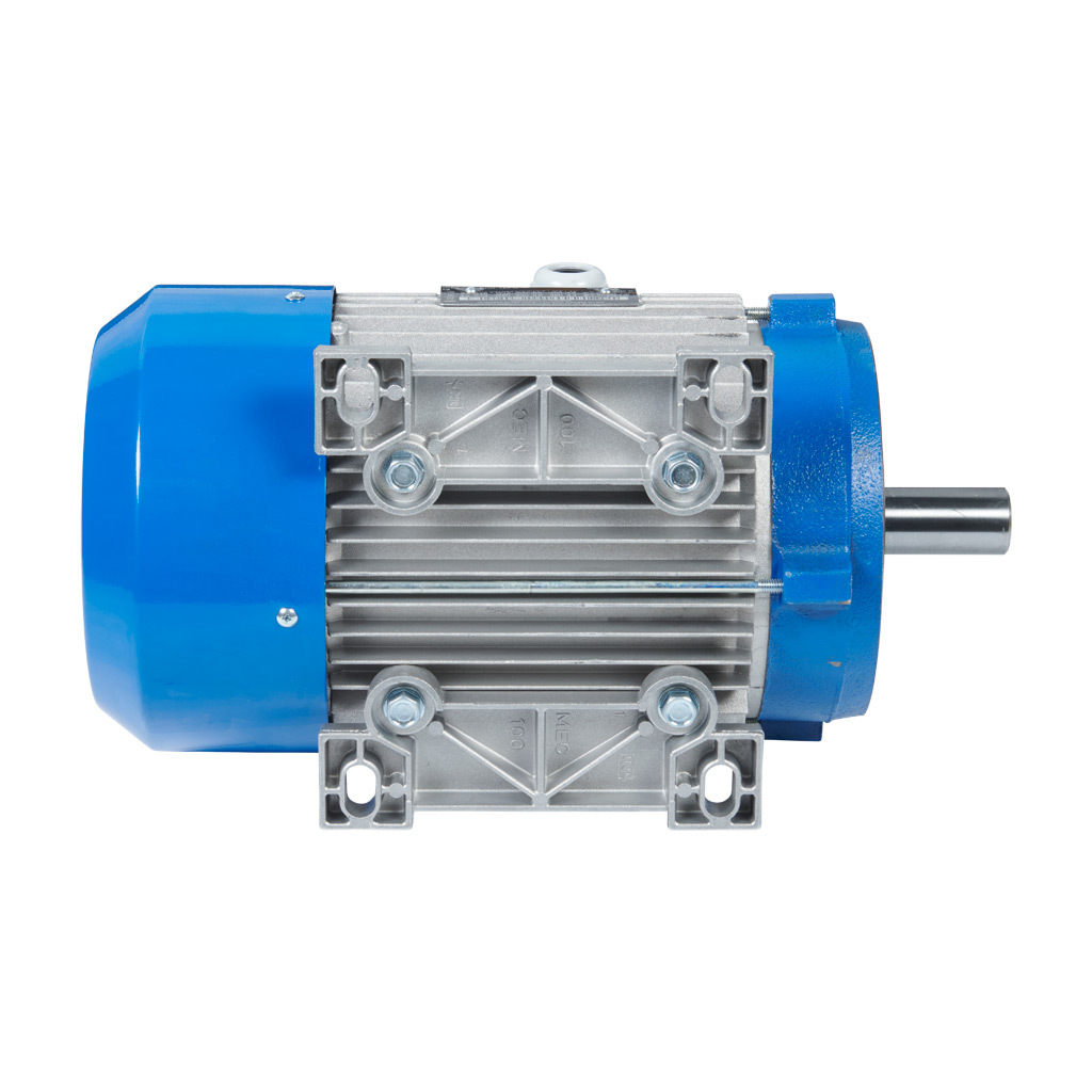 IE3 Premium Efficiency AC Motor: general purpose and inverter