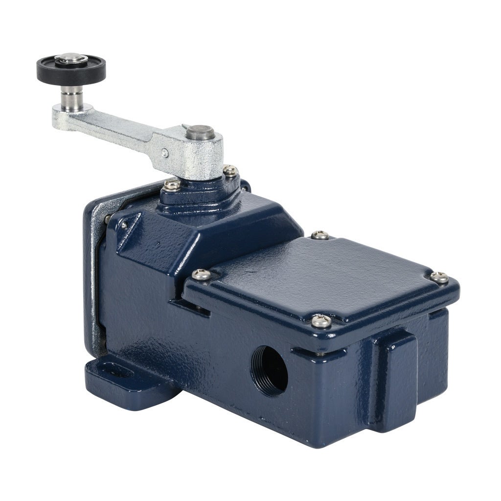 Limit Switch: side rotary lever with plastic roller (PN# MD250-11Z