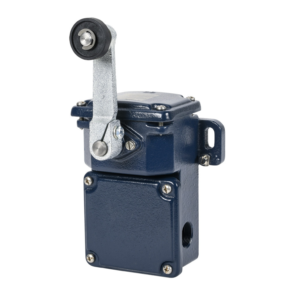 Limit Switch: side rotary lever with plastic roller (PN# TD250-02