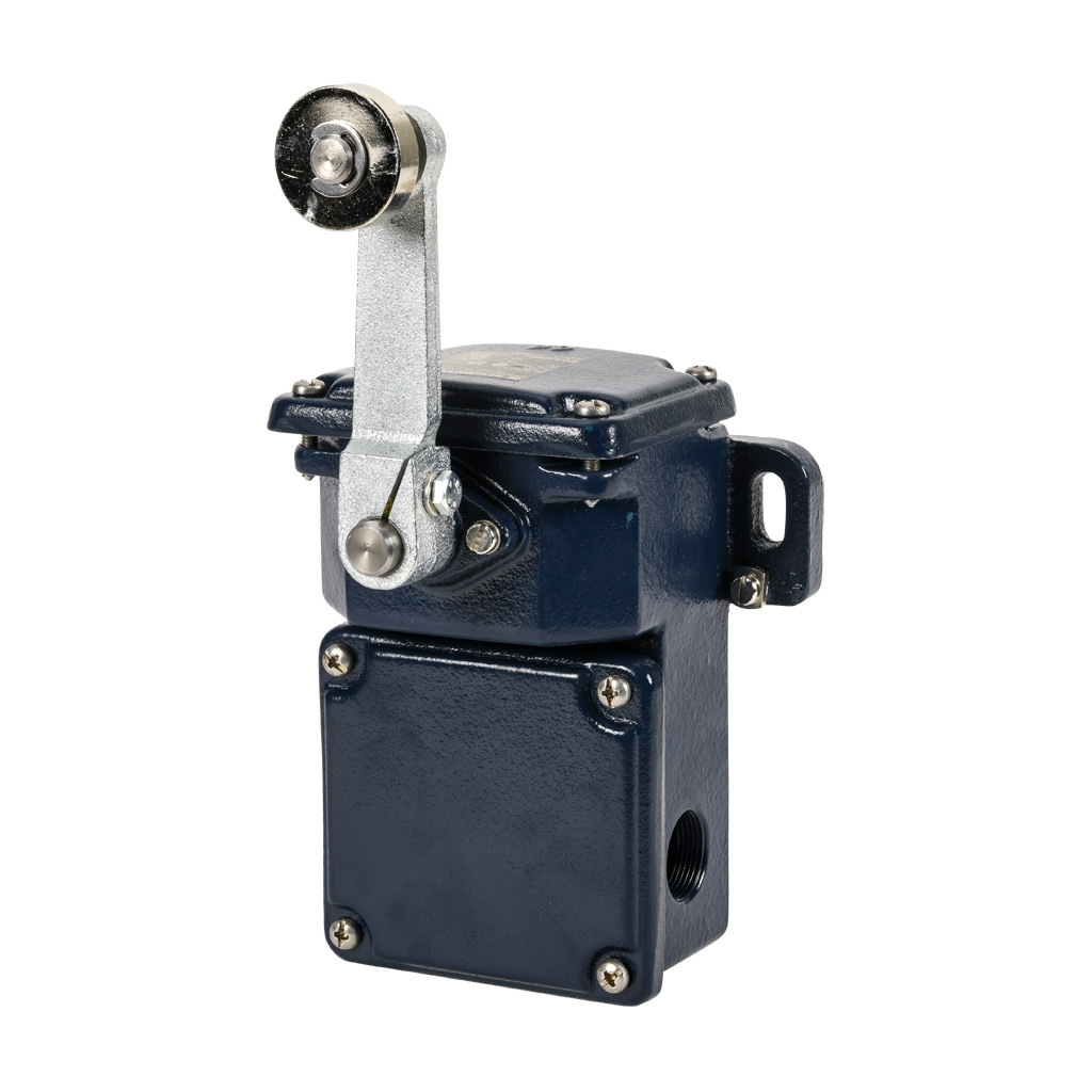 Limit Switch: side rotary lever with metal roller (PN# TD250-10