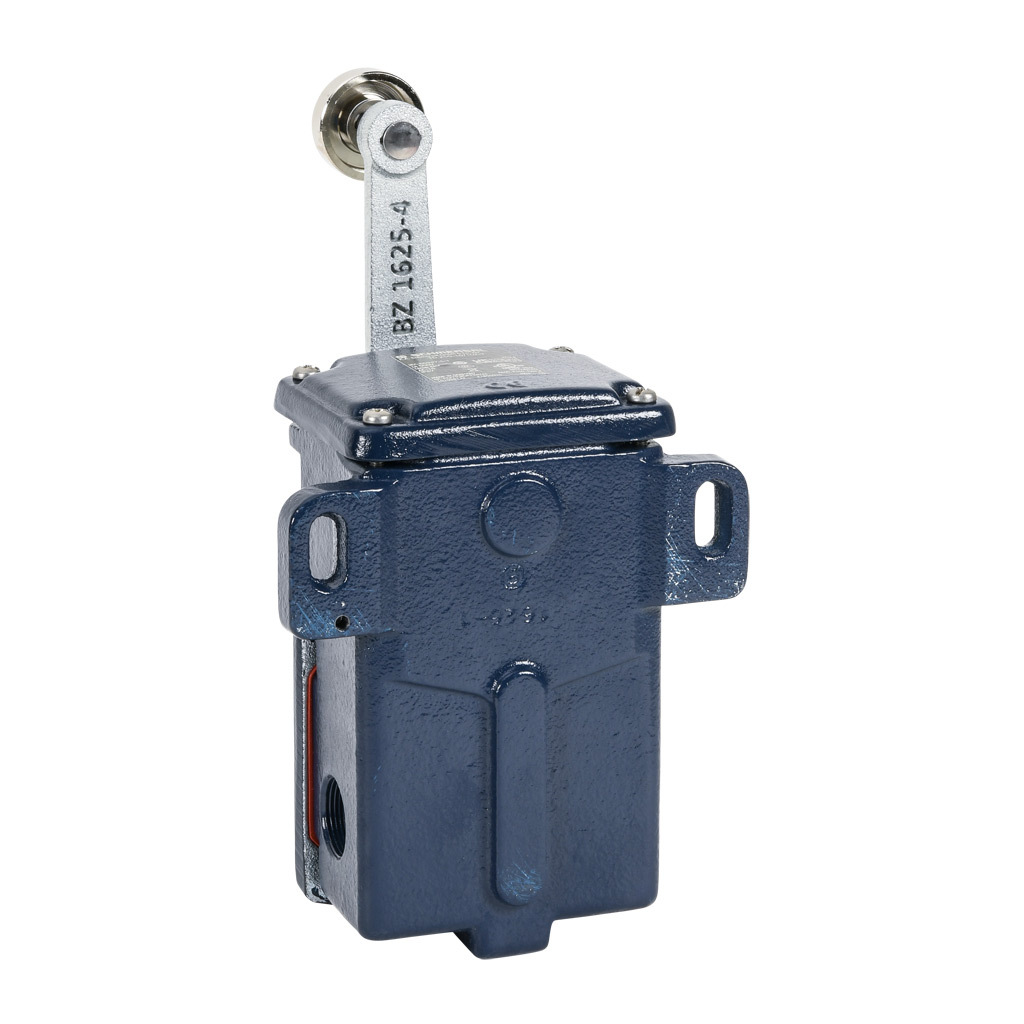 Limit Switch: side rotary lever with metal roller (PN# TD250-10