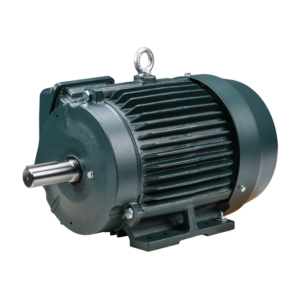 Premium Efficiency AC Motor: high-performance inverter duty and