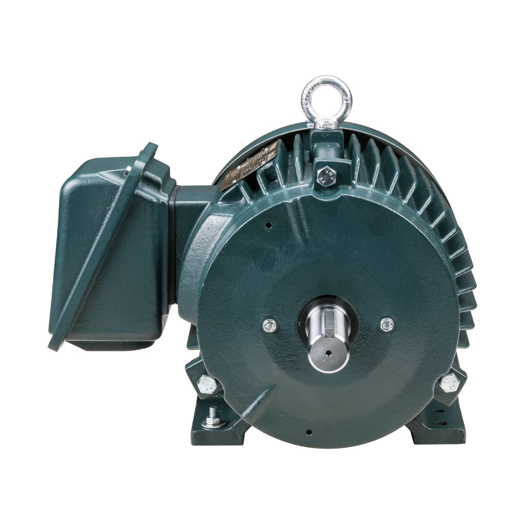 Premium Efficiency AC Motor: high-performance inverter duty and