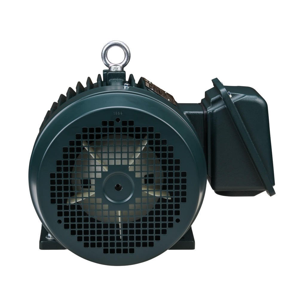 Premium Efficiency AC Motor: high-performance inverter duty and